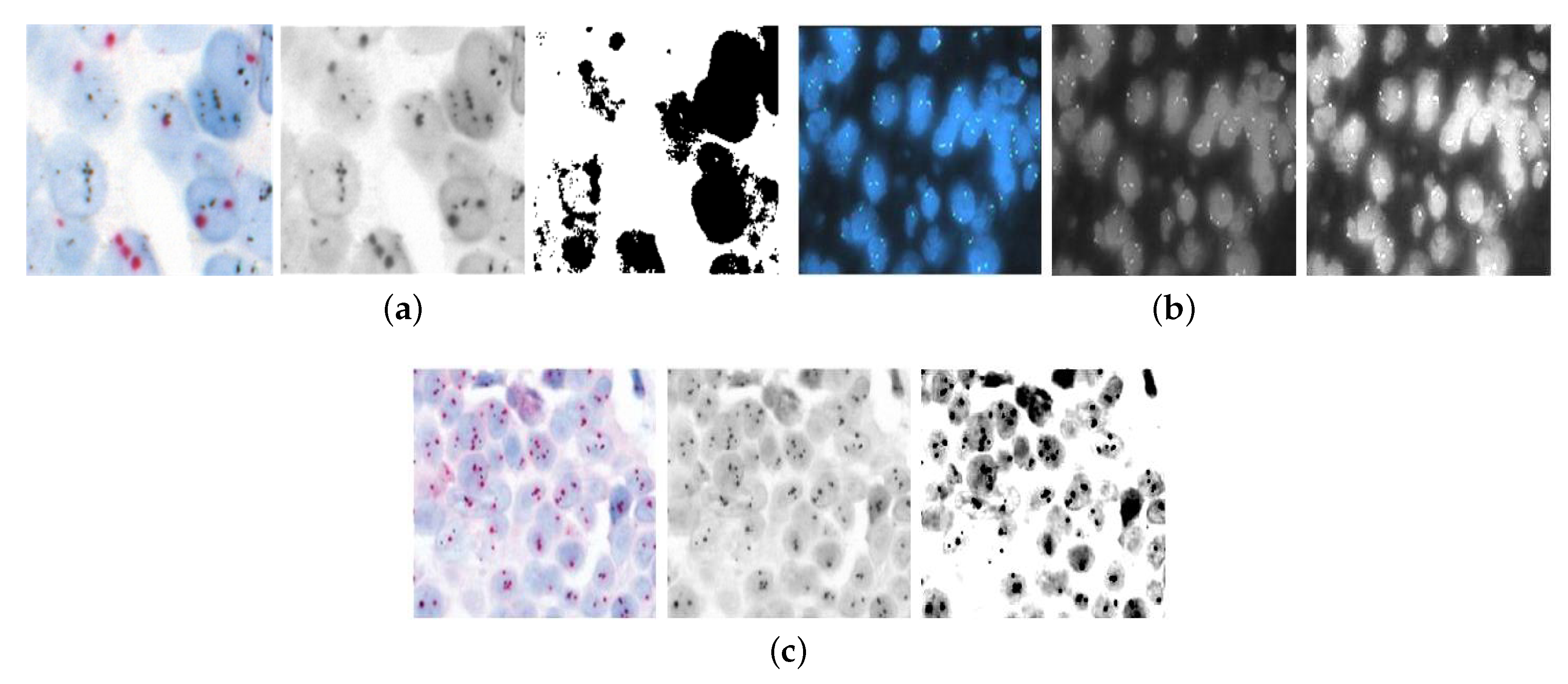 Diagnostics 14 02089 g004