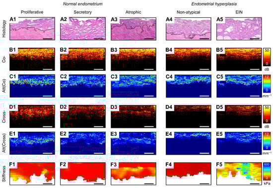 Diagnostics 14 02131 g0a1