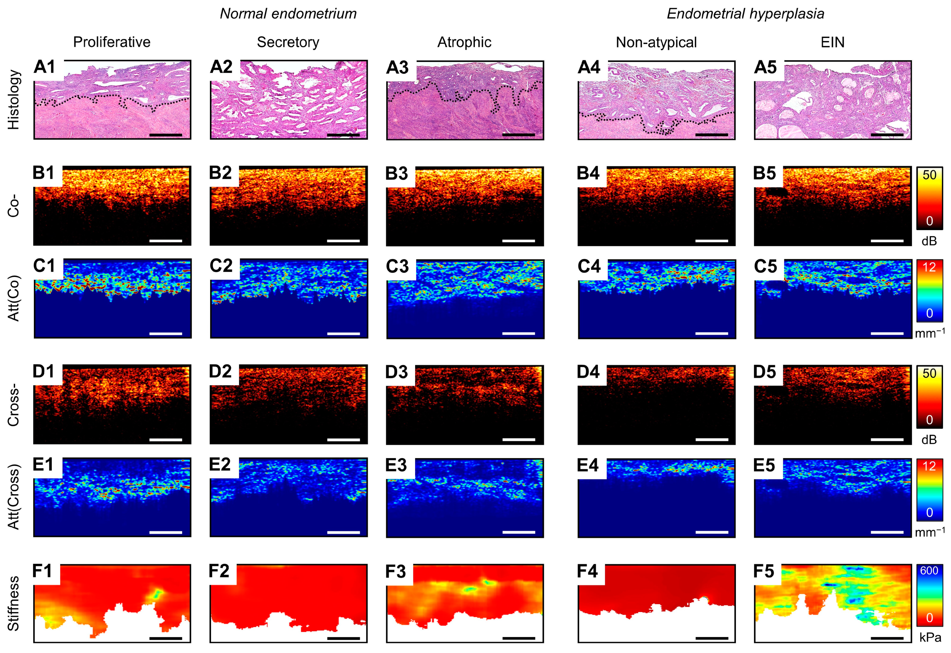 Diagnostics 14 02131 g0a1 Diagnostics 14 02131 g0a1