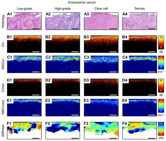 Diagnostics 14 02131 g0a2