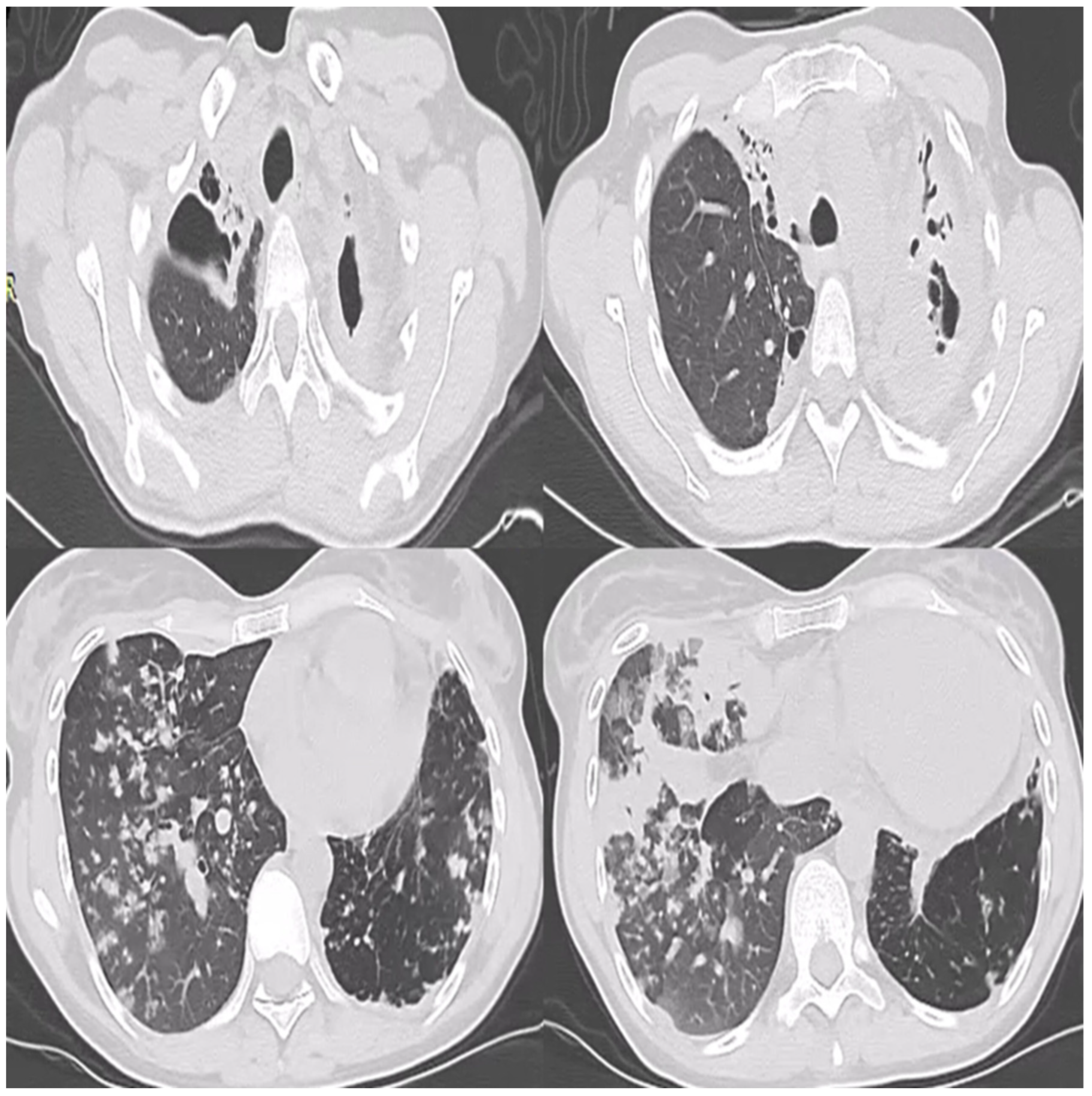 Diagnostics 14 02139 g001