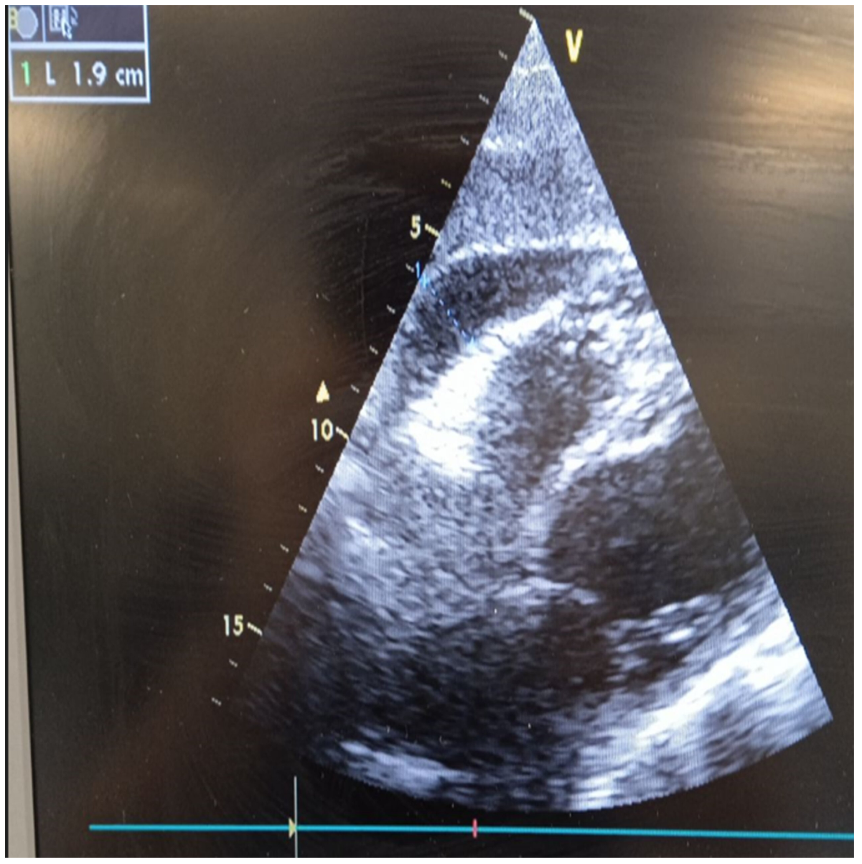 Diagnostics 14 02139 g002