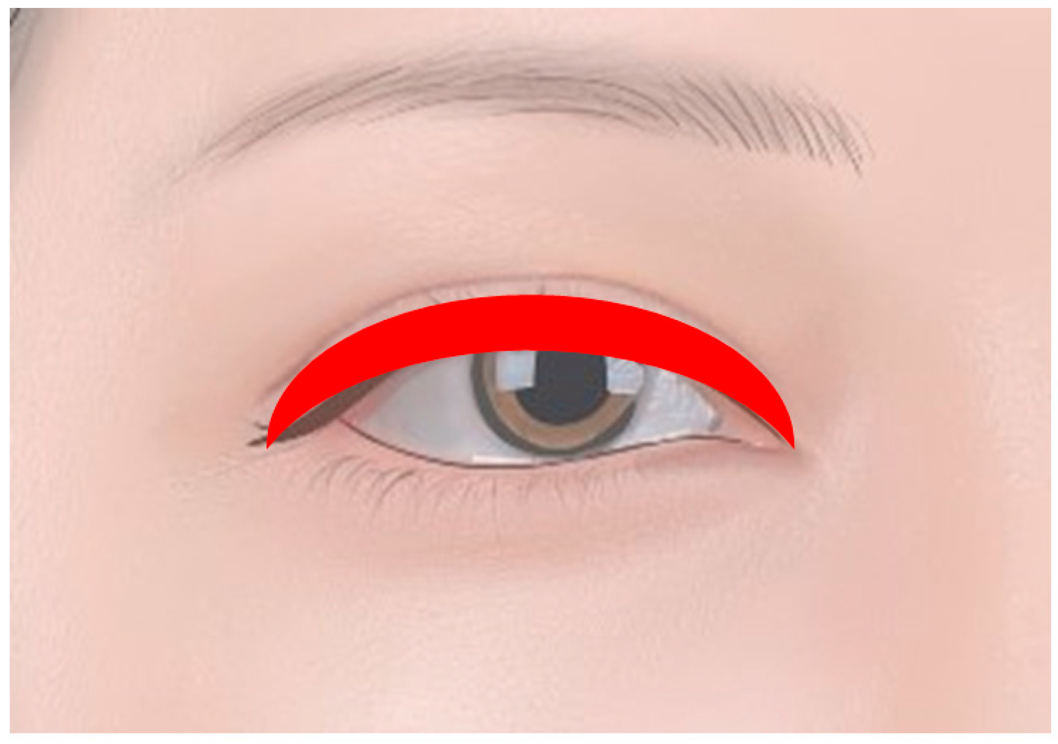 Diagnostics 14 02150 g003