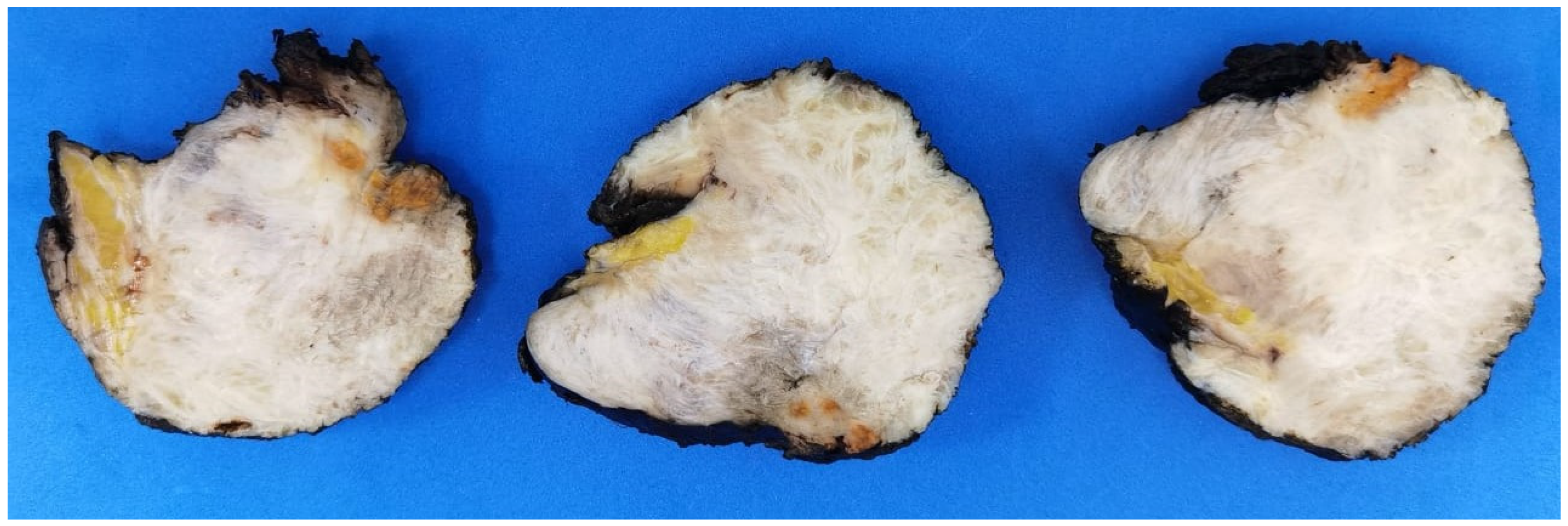 Diagnostics 14 02161 g002