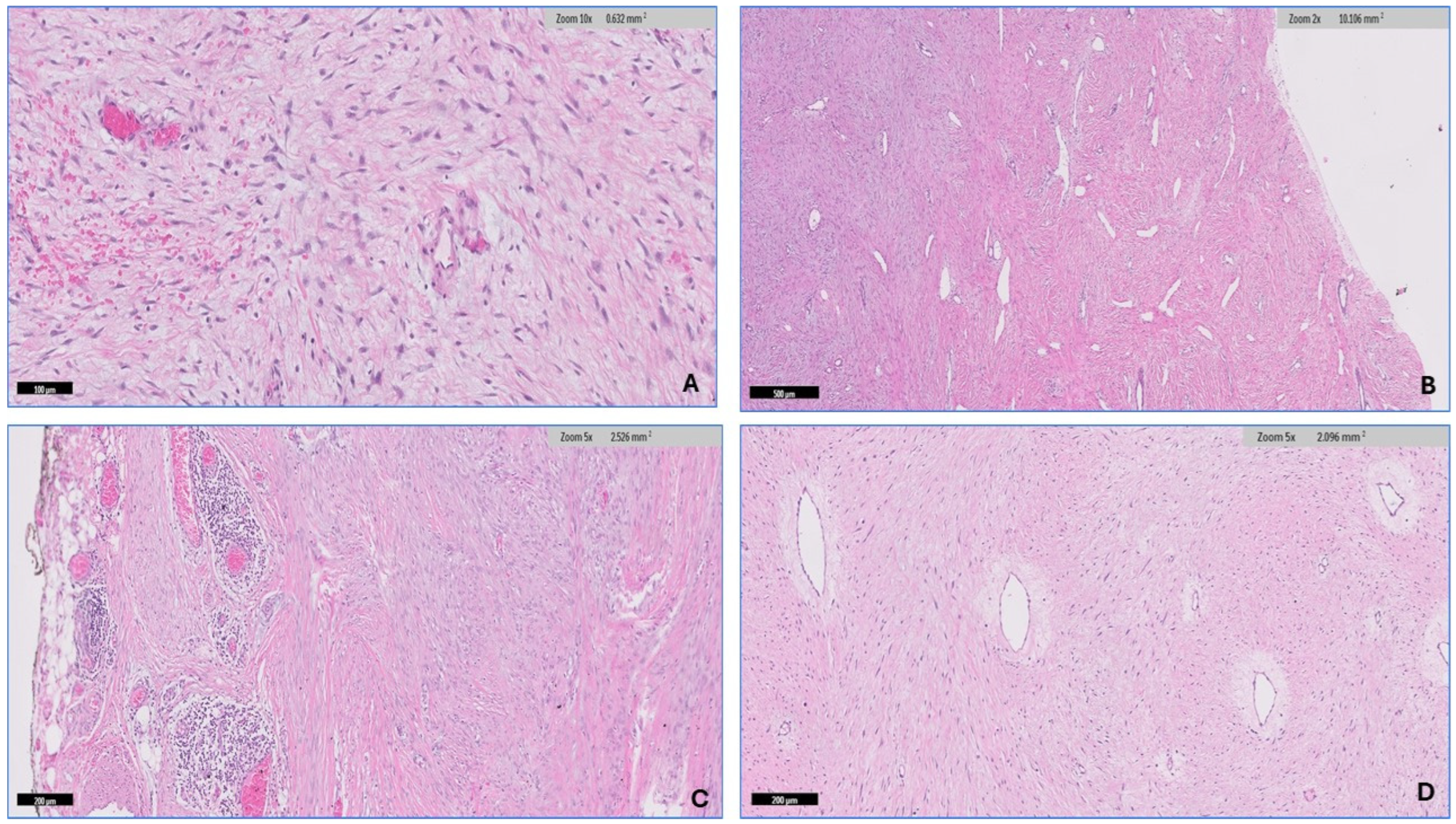 Diagnostics 14 02161 g005