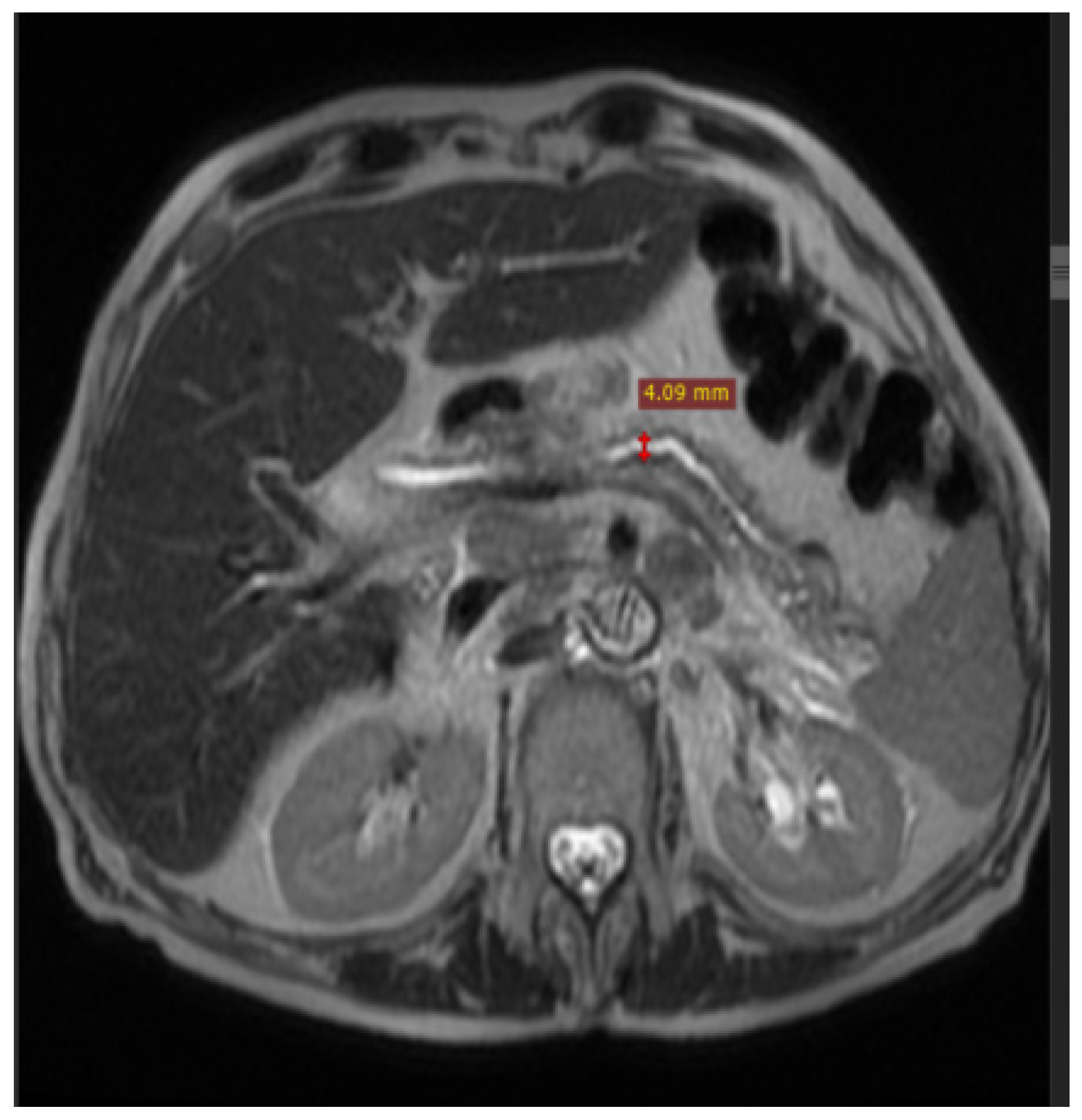 Diagnostics 14 02164 g005