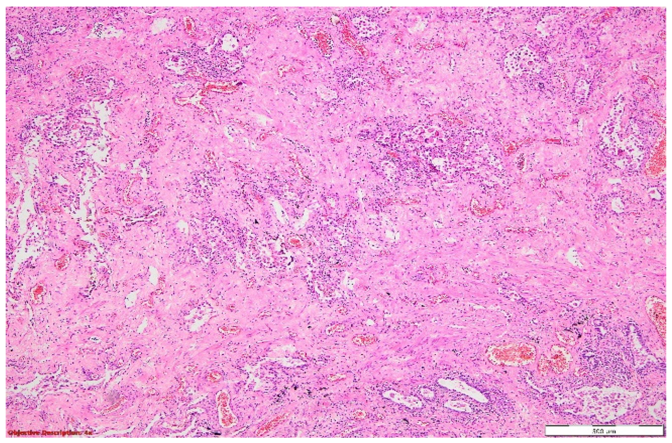 Diagnostics 14 02175 g009