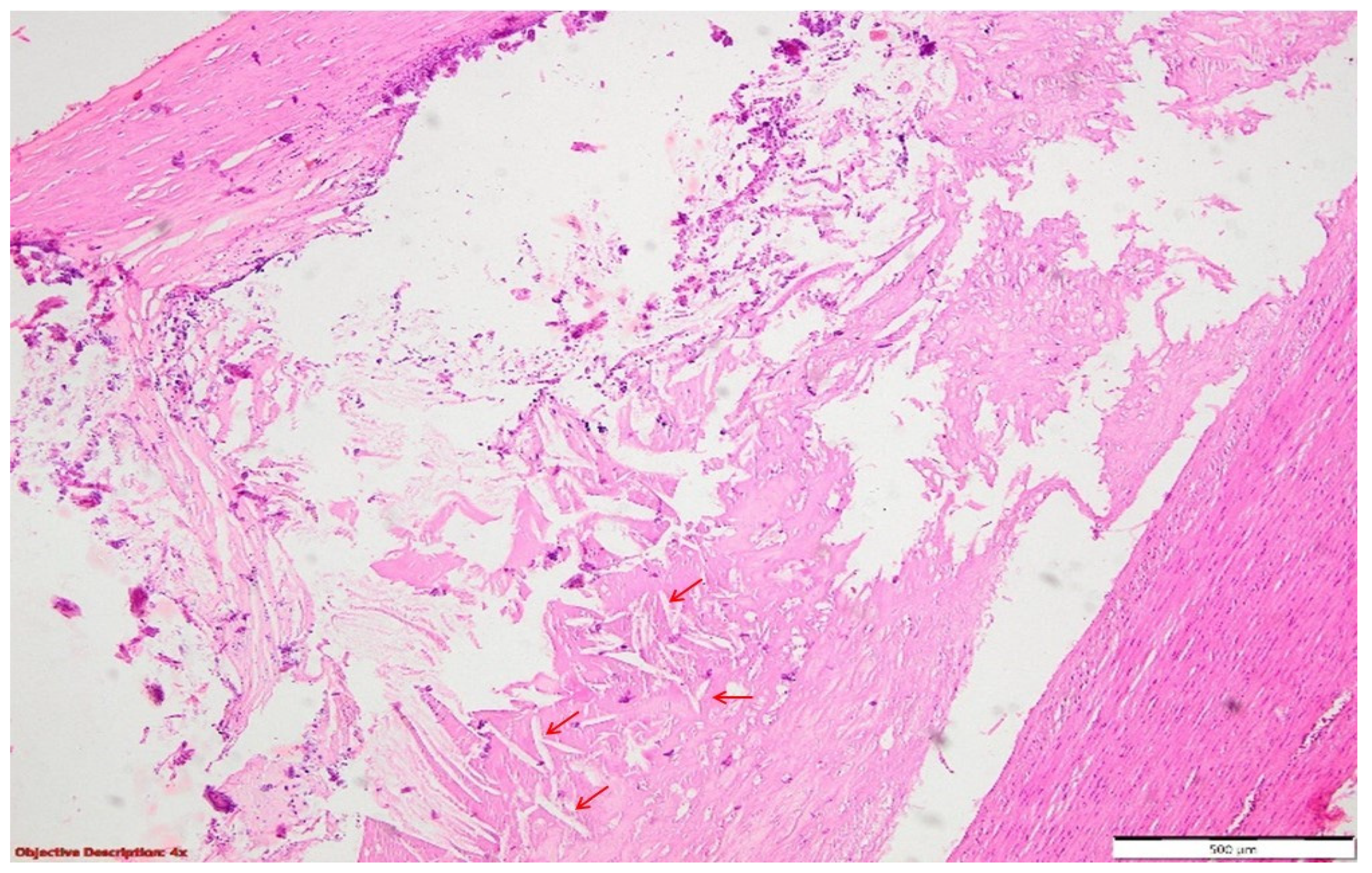 Diagnostics 14 02175 g011