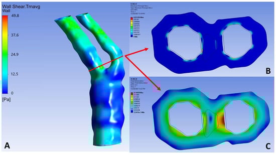 Diagnostics 14 02204 g004
