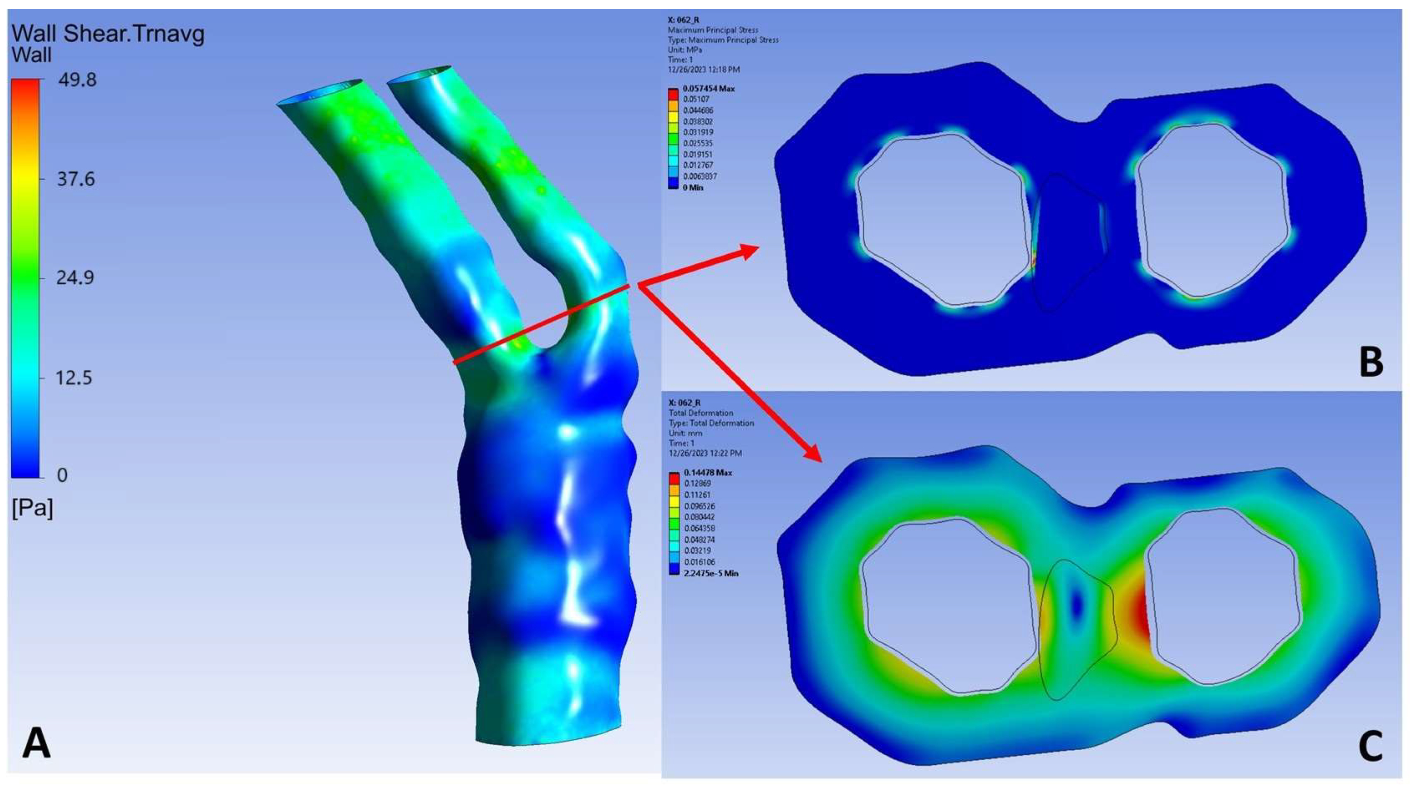 Diagnostics 14 02204 g004