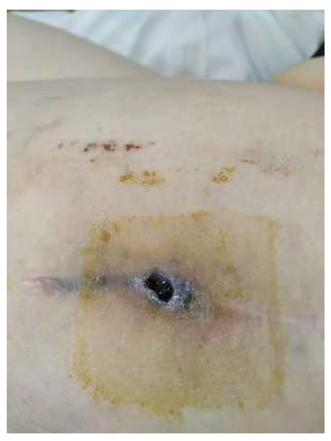 Diagnostics 14 02206 g001