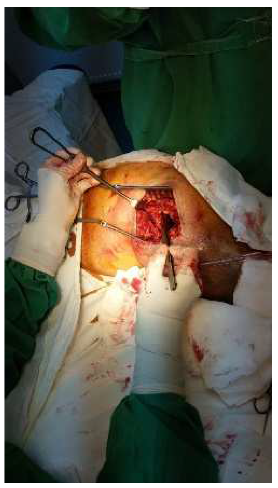 Diagnostics 14 02206 g002