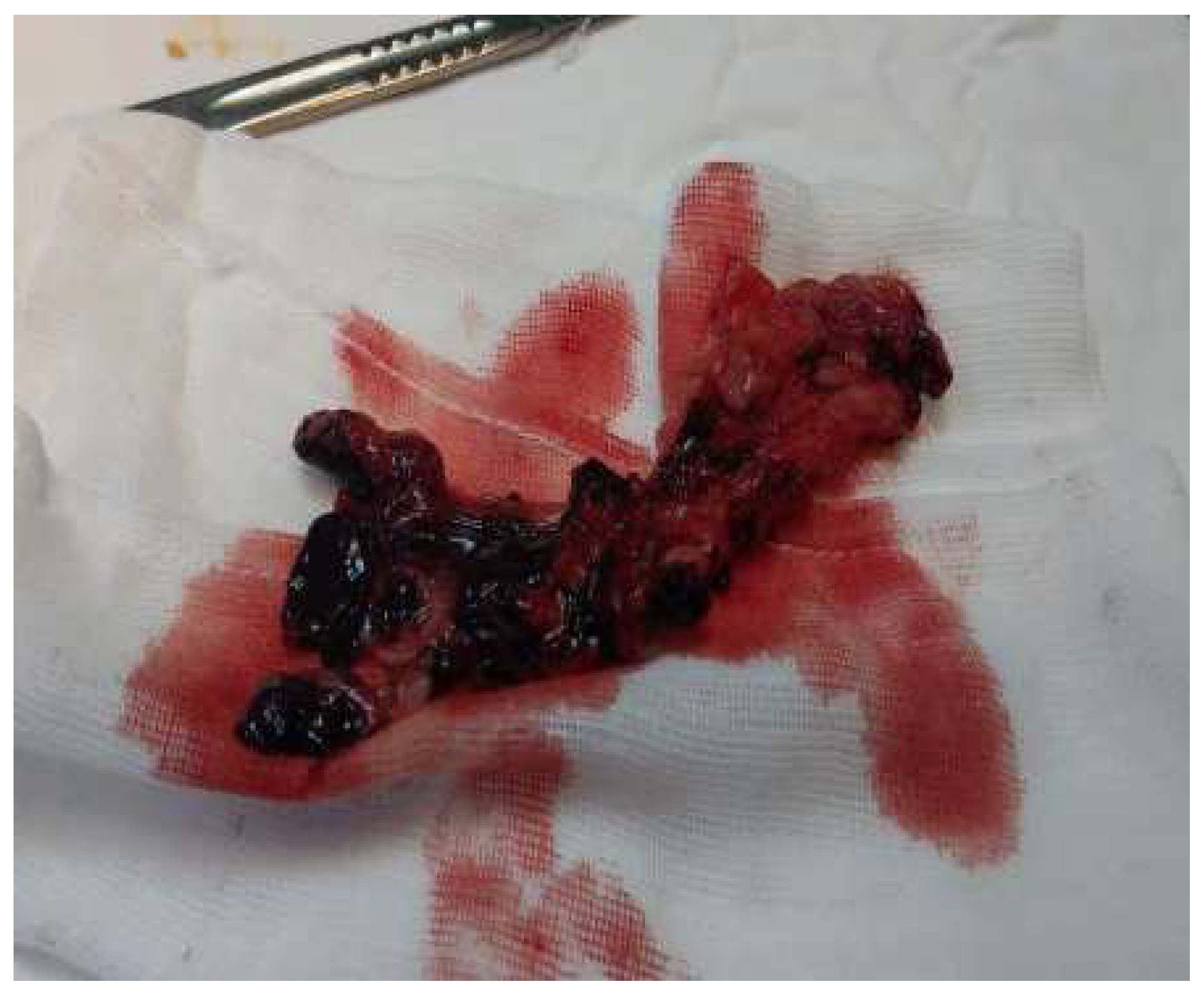 Diagnostics 14 02206 g003