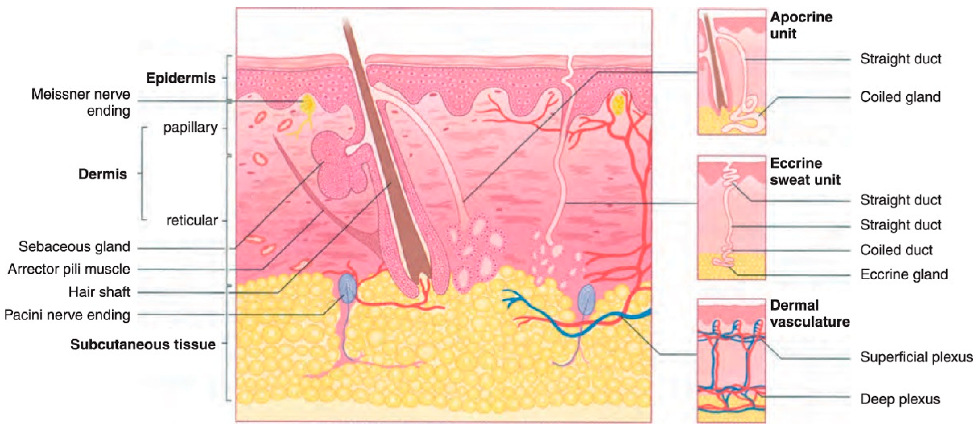 Diagnostics 14 02242 g001