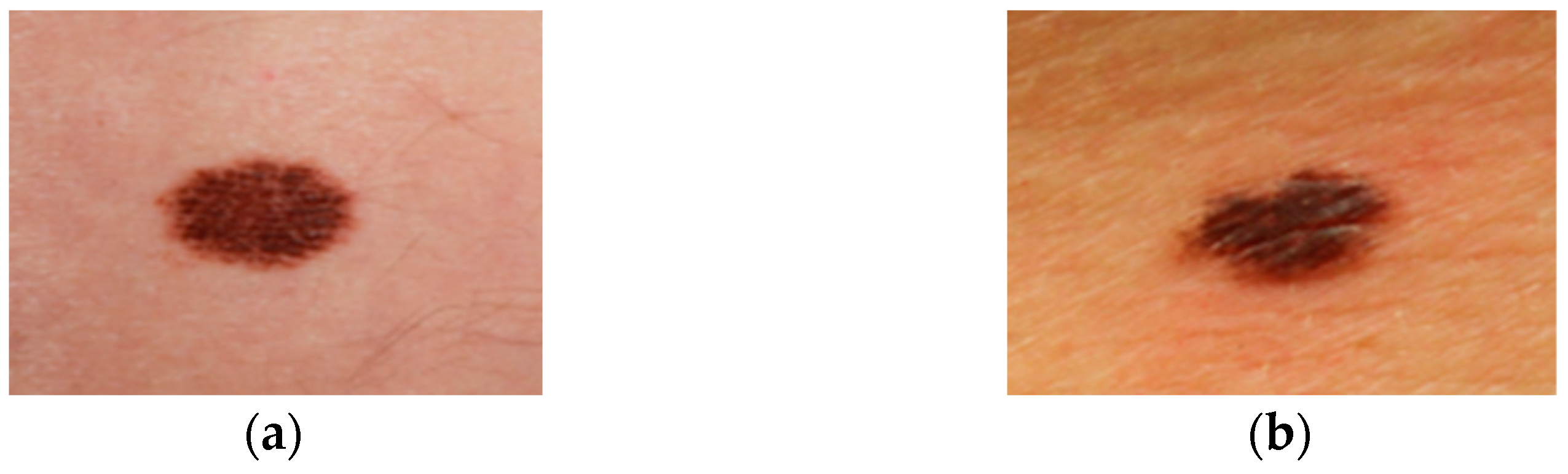 Diagnostics 14 02242 g002