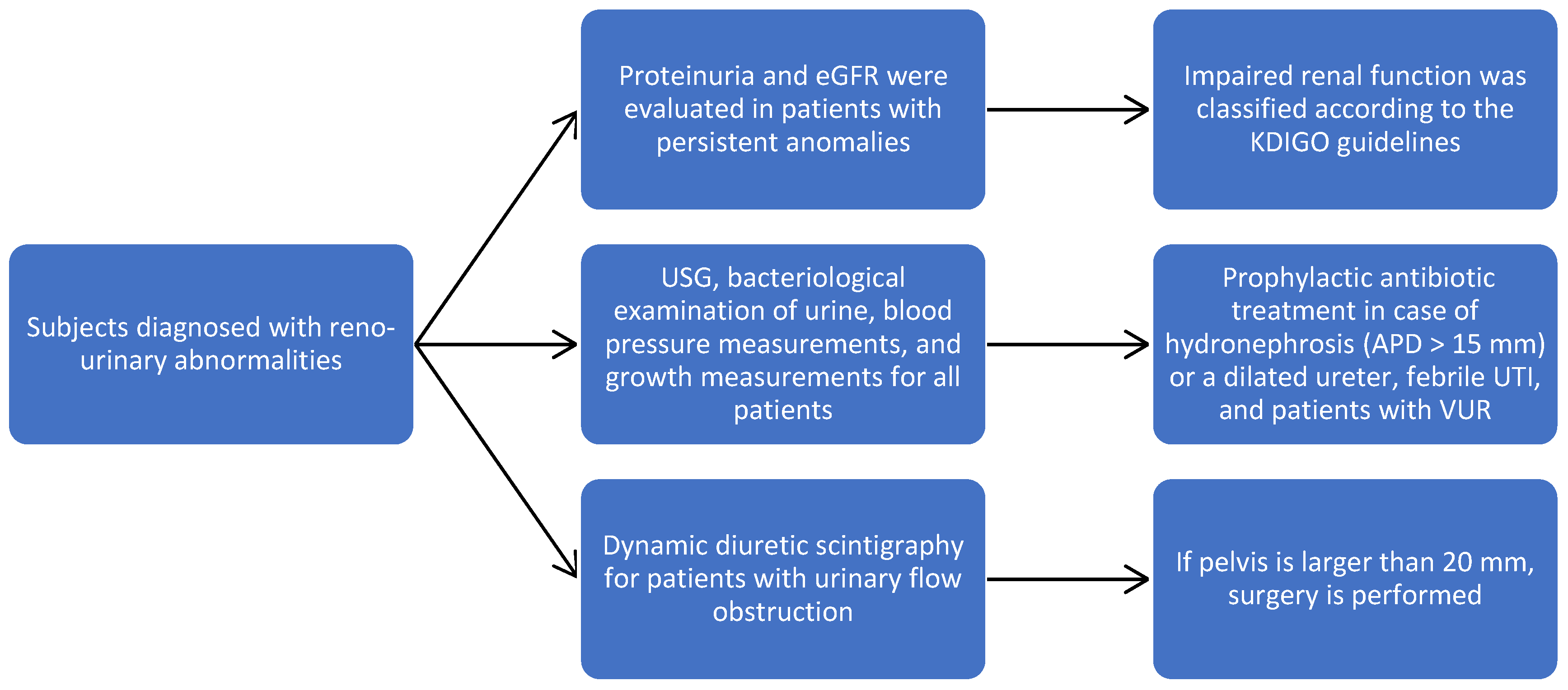 Diagnostics 14 02243 g001
