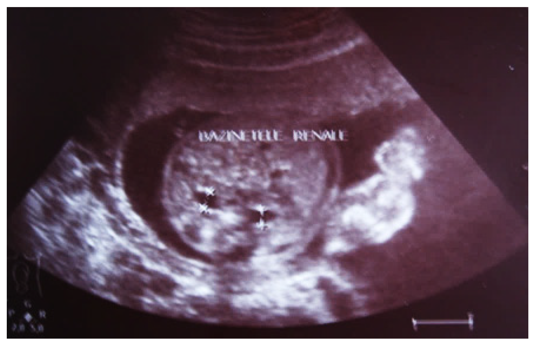 Diagnostics 14 02243 g002