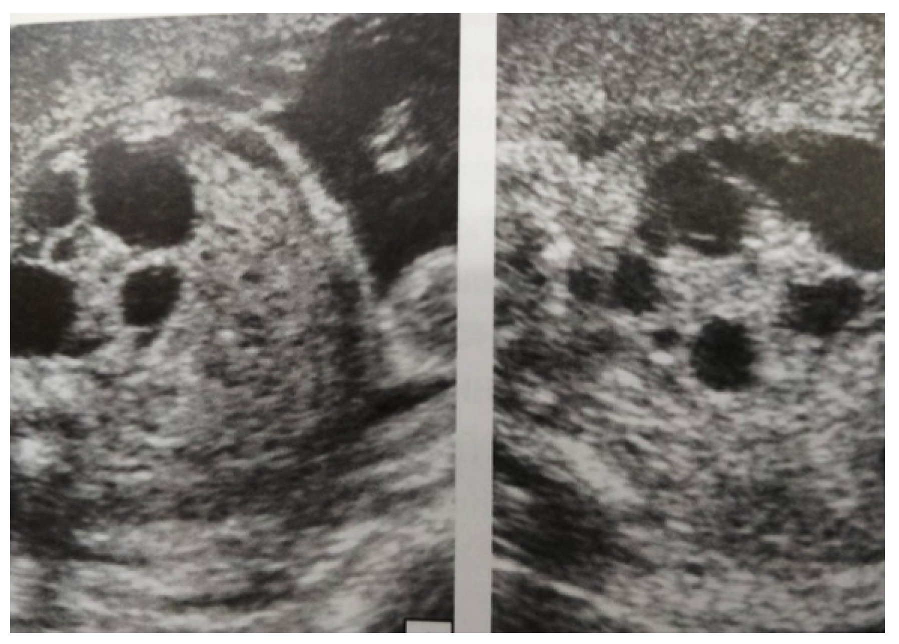 Diagnostics 14 02243 g004