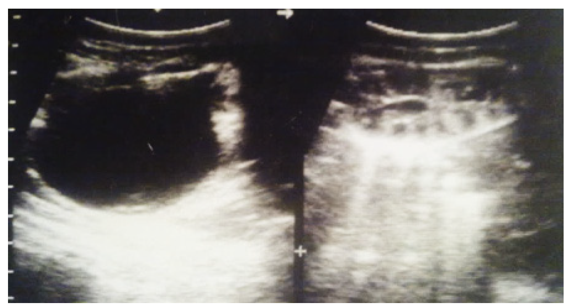 Diagnostics 14 02243 g007