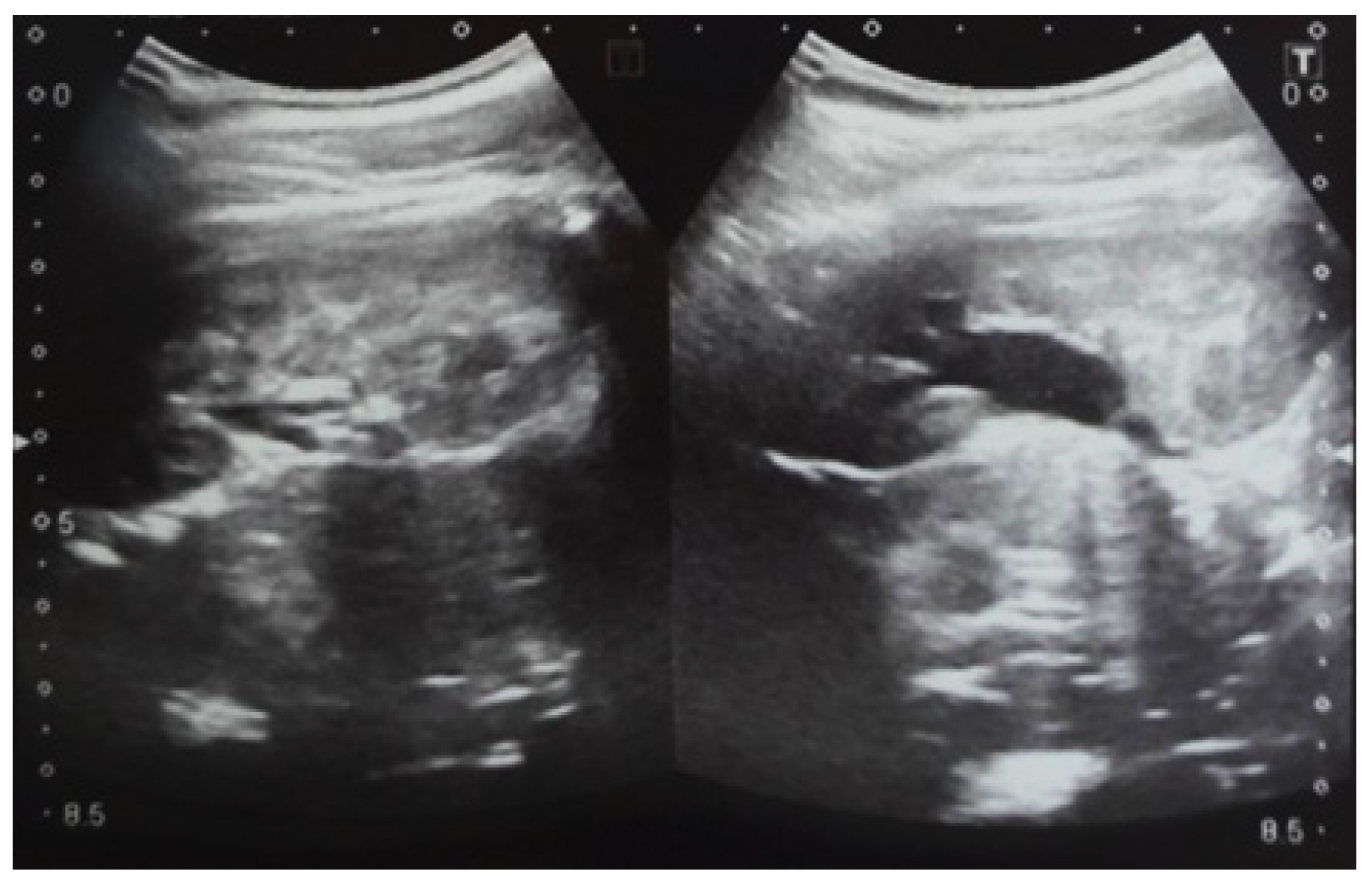 Diagnostics 14 02243 g008