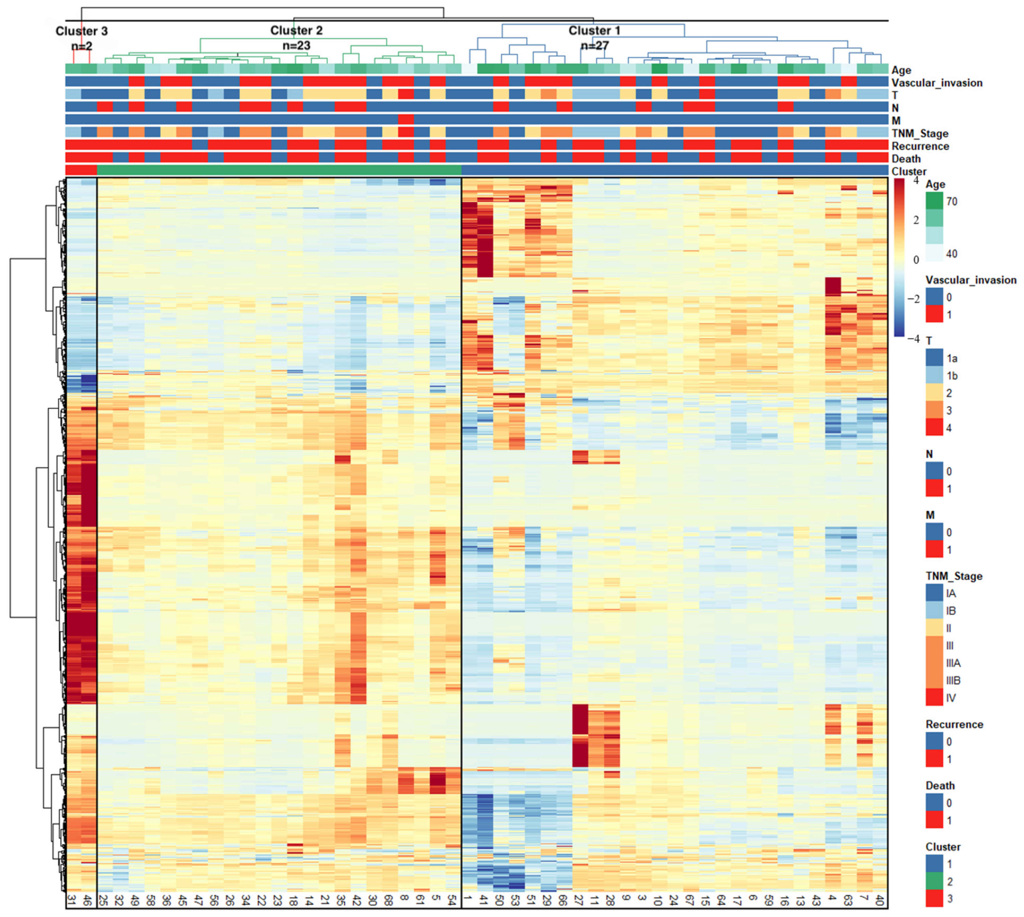 Diagnostics 14 02245 g003