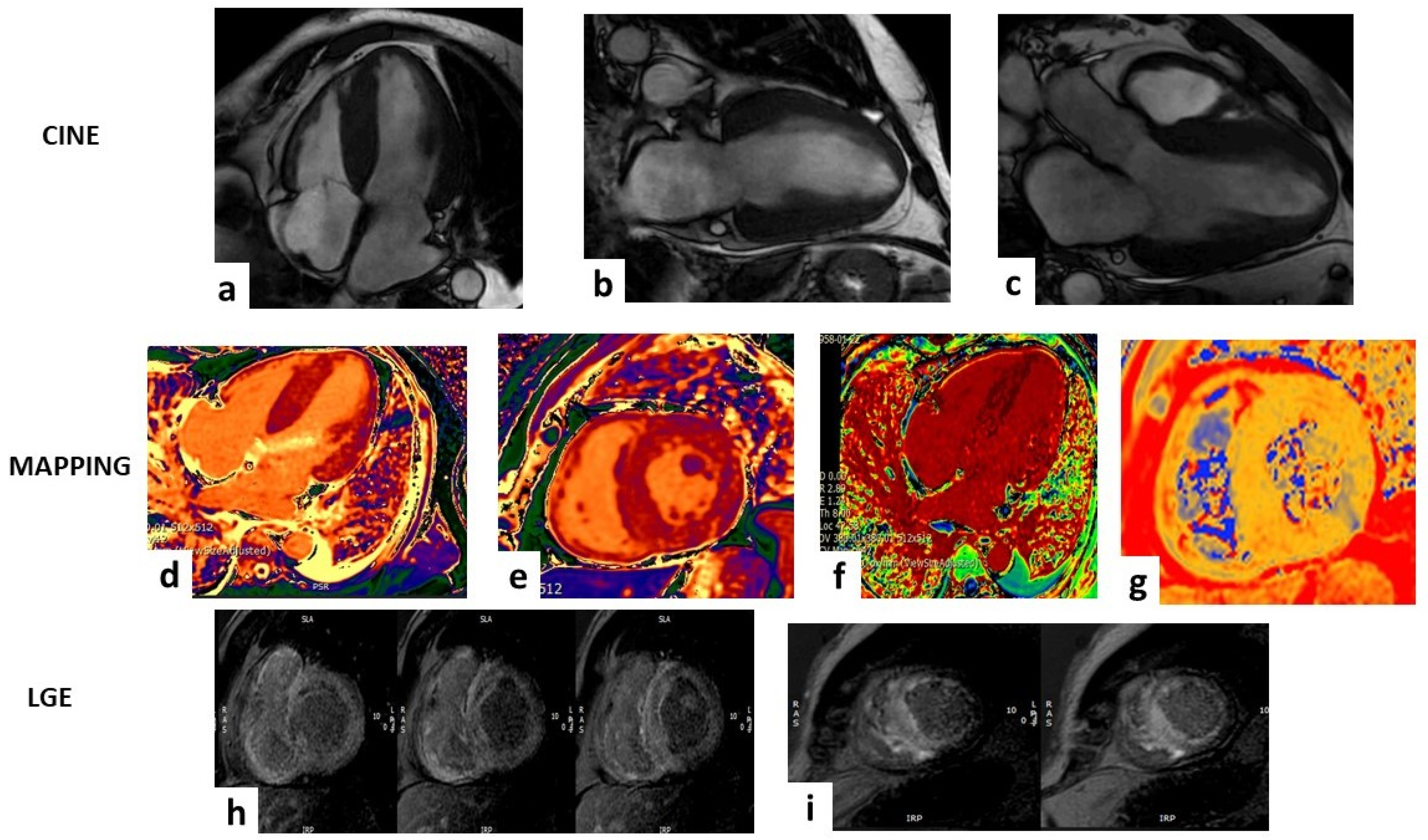 Diagnostics 14 02249 g002