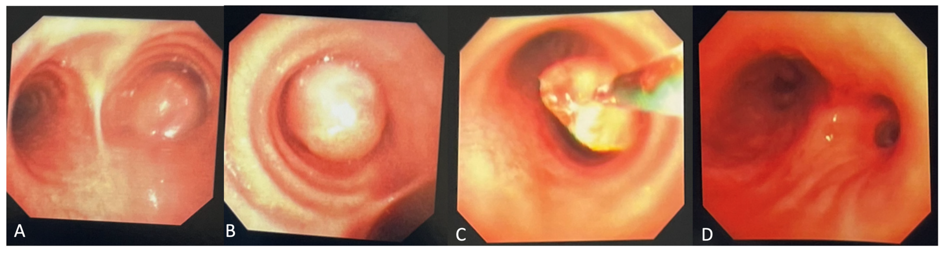 Diagnostics 14 02254 g002