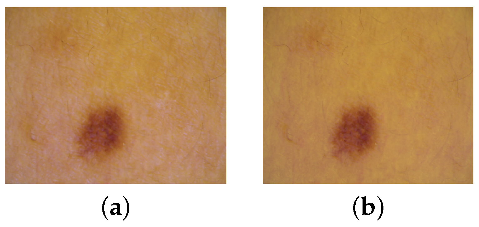 Diagnostics 14 02288 g003