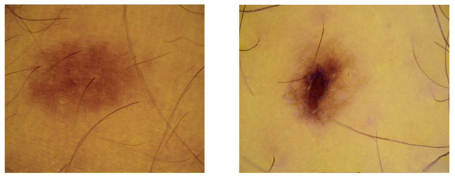 Diagnostics 14 02288 g005