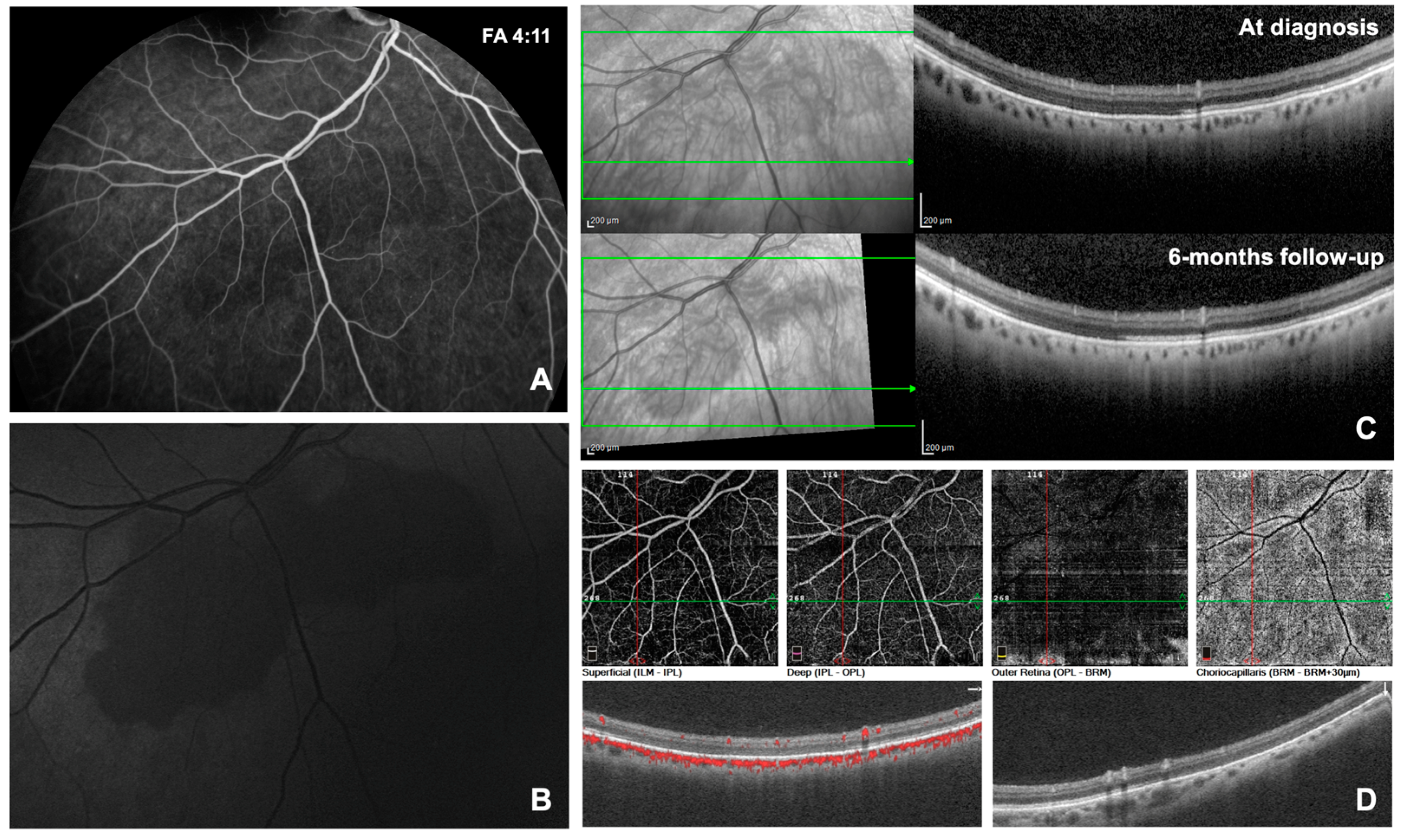Diagnostics 14 02289 g002