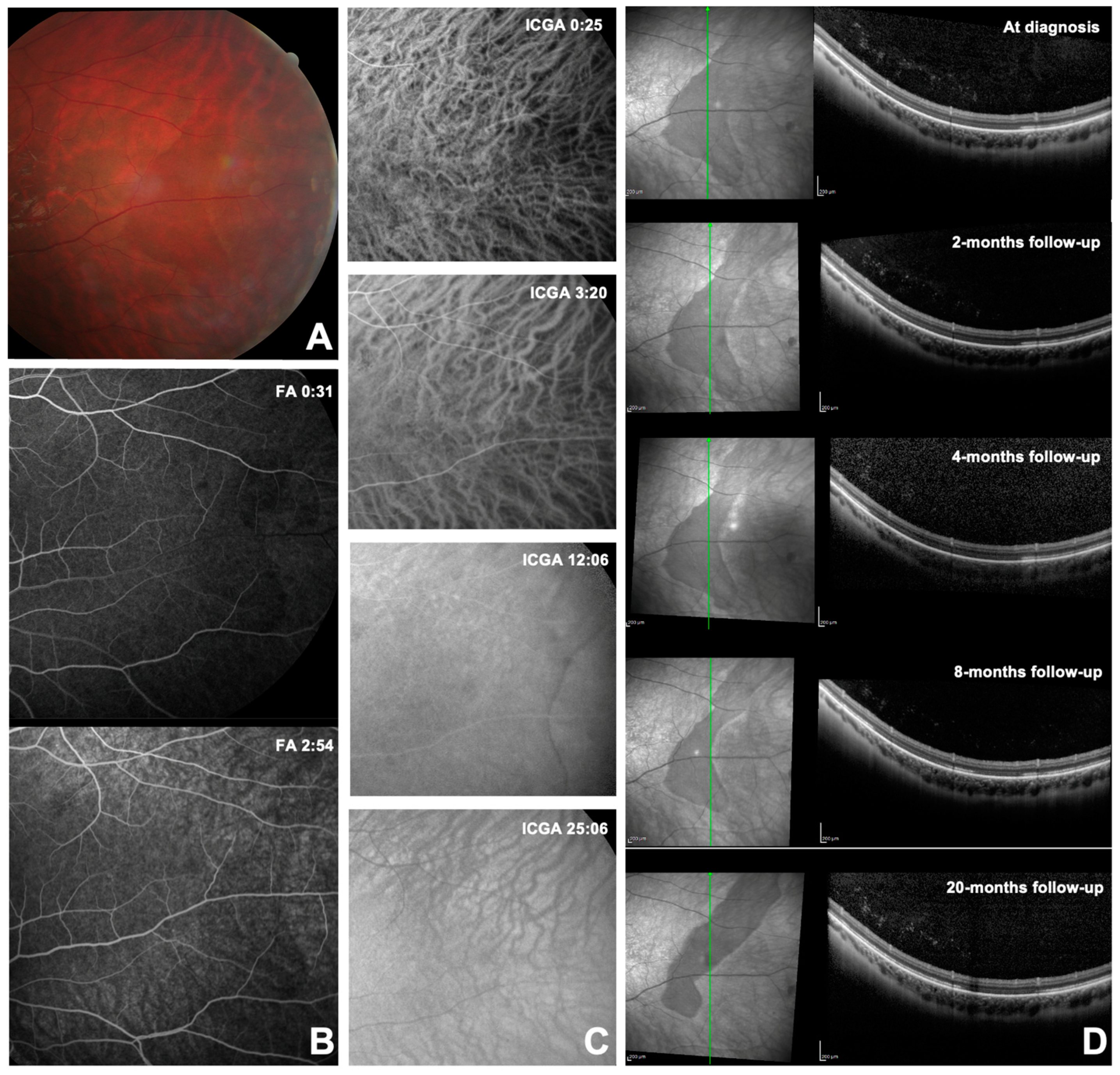 Diagnostics 14 02289 g003