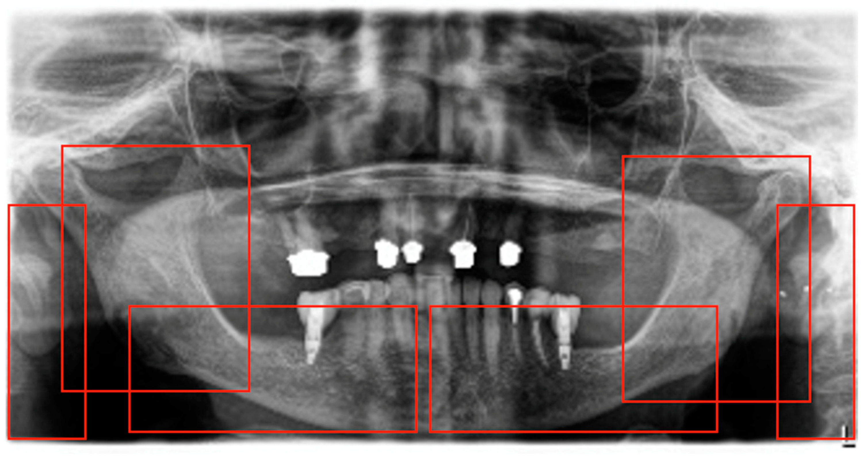 Diagnostics 14 02298 g001 Diagnostics 14 02298 g001