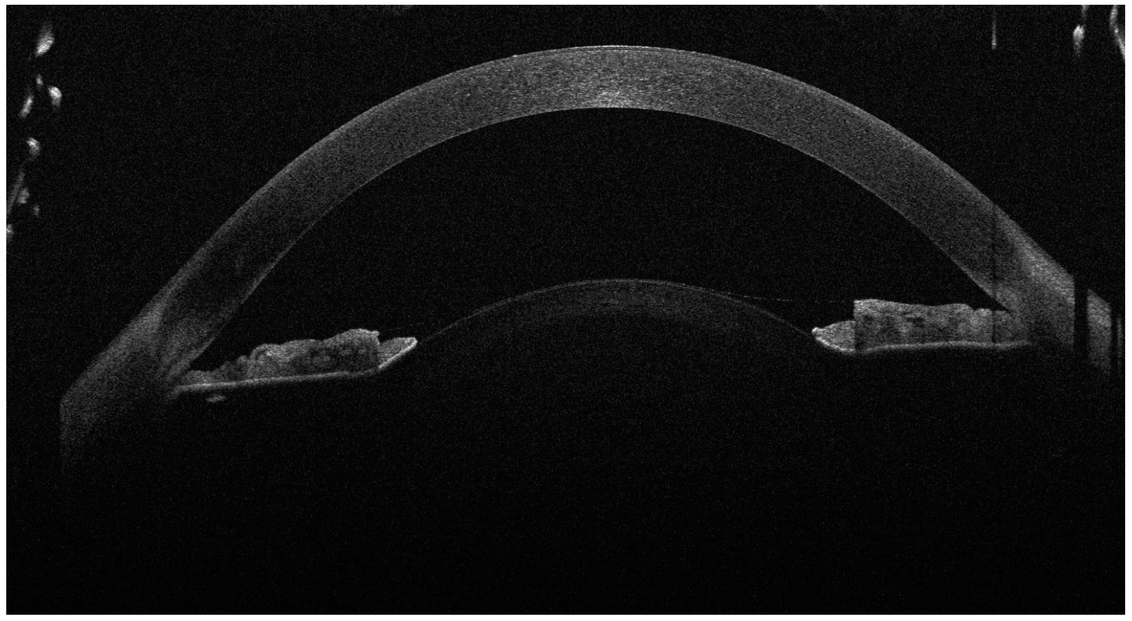 Diagnostics 14 02303 g001