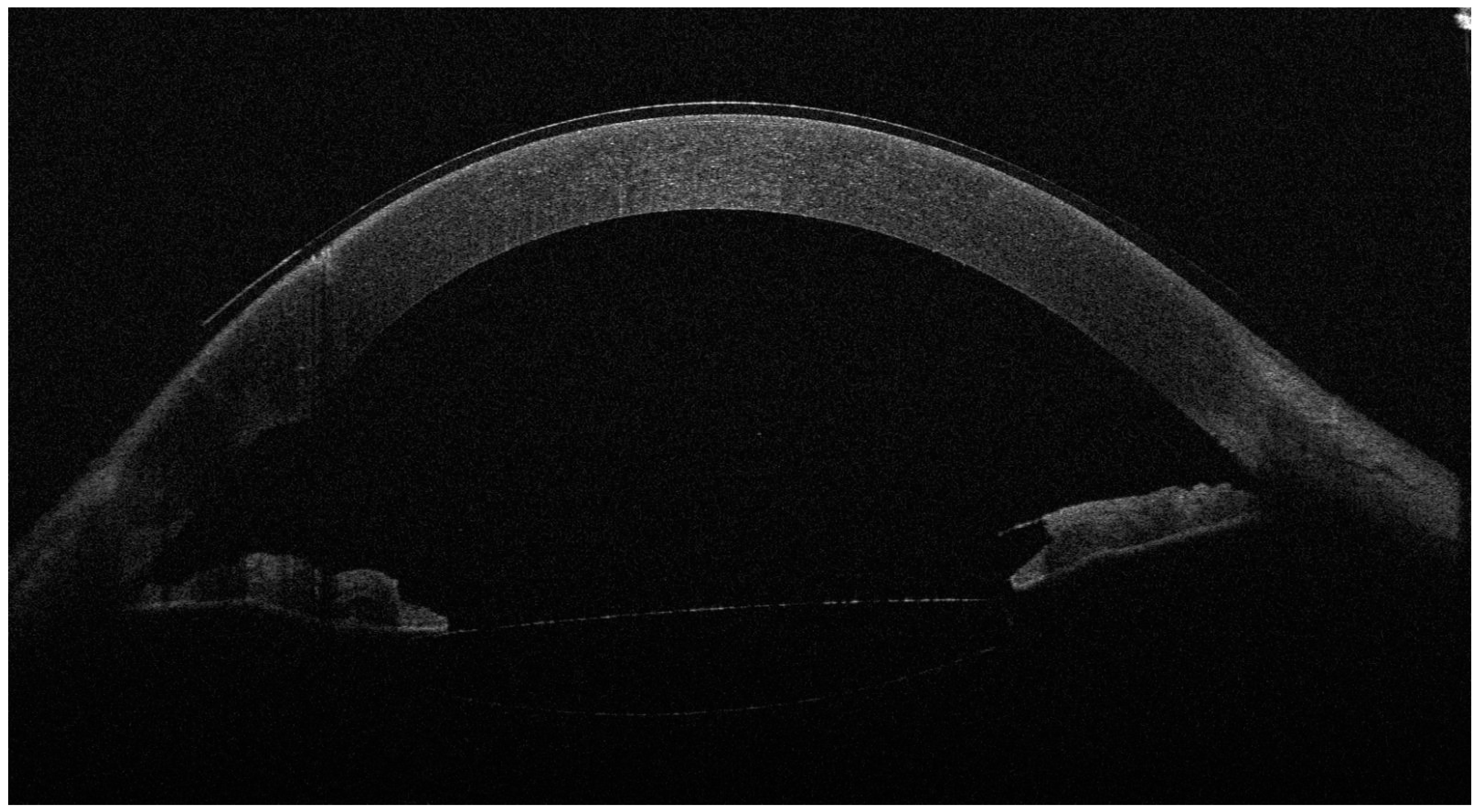 Diagnostics 14 02303 g002
