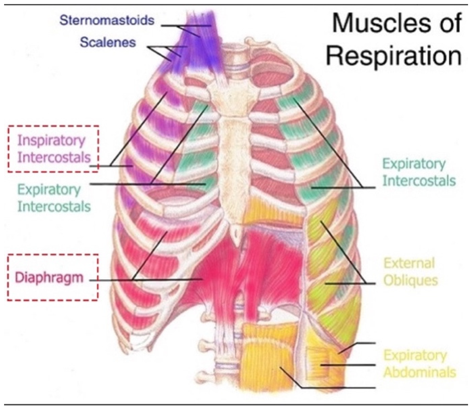 Diagnostics 14 02324 g001