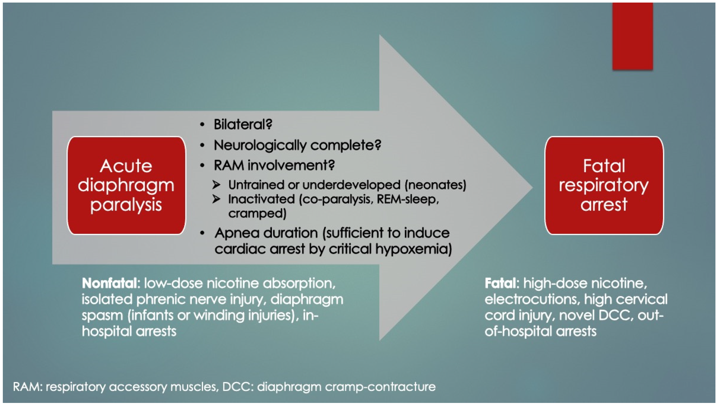 Diagnostics 14 02324 g004