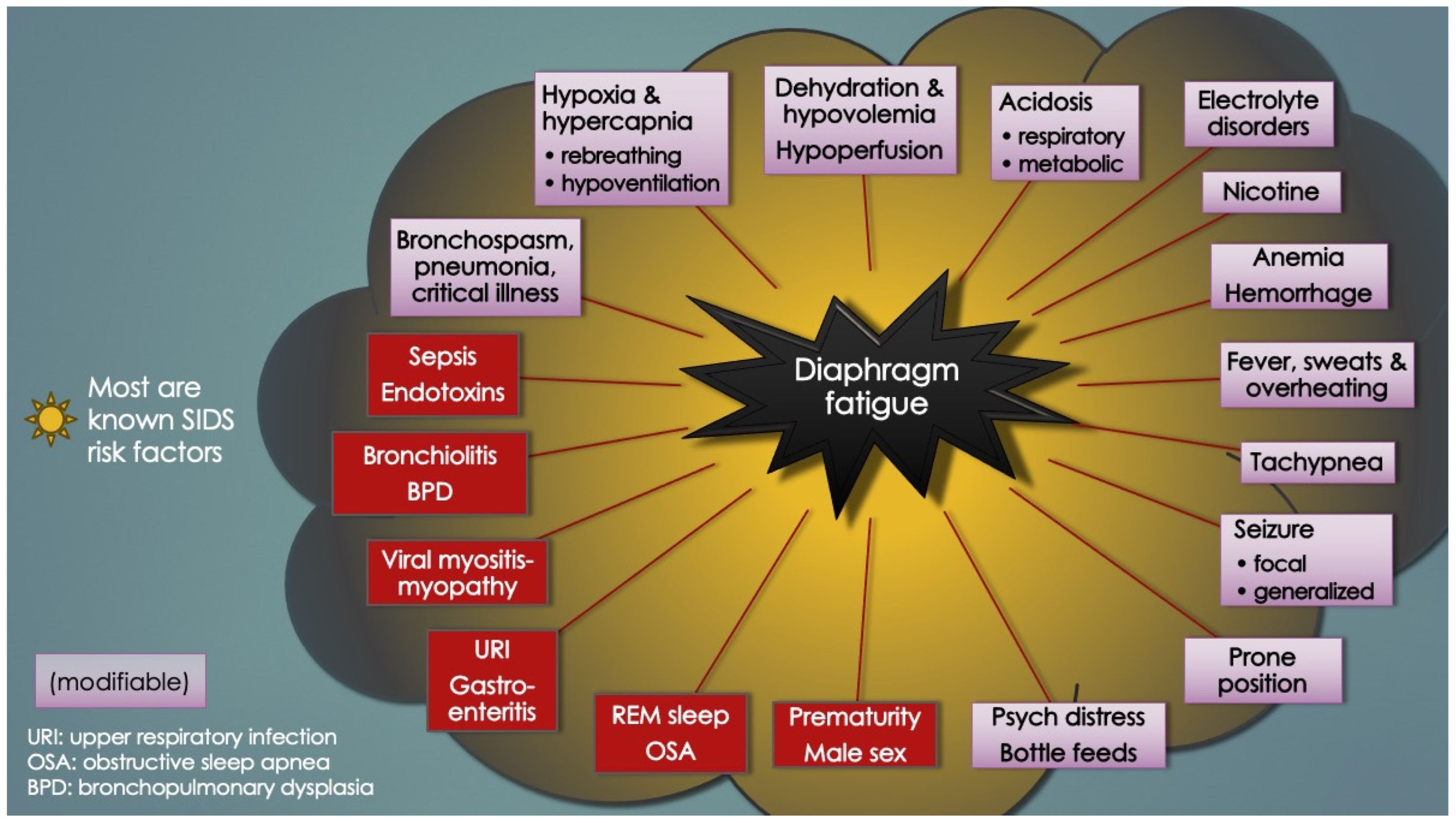 Diagnostics 14 02324 g017