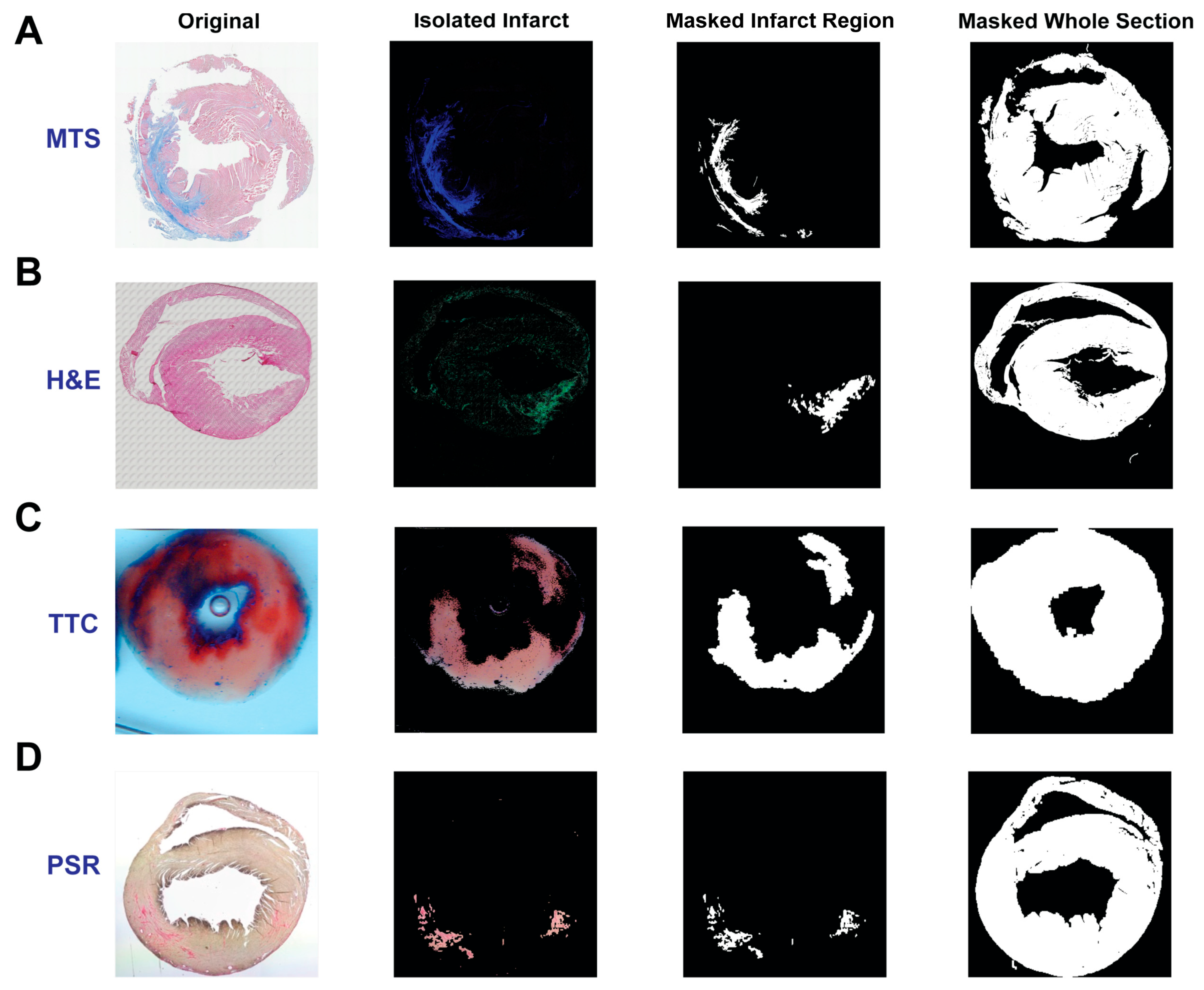 Diagnostics 14 02325 g004 Diagnostics 14 02325 g004