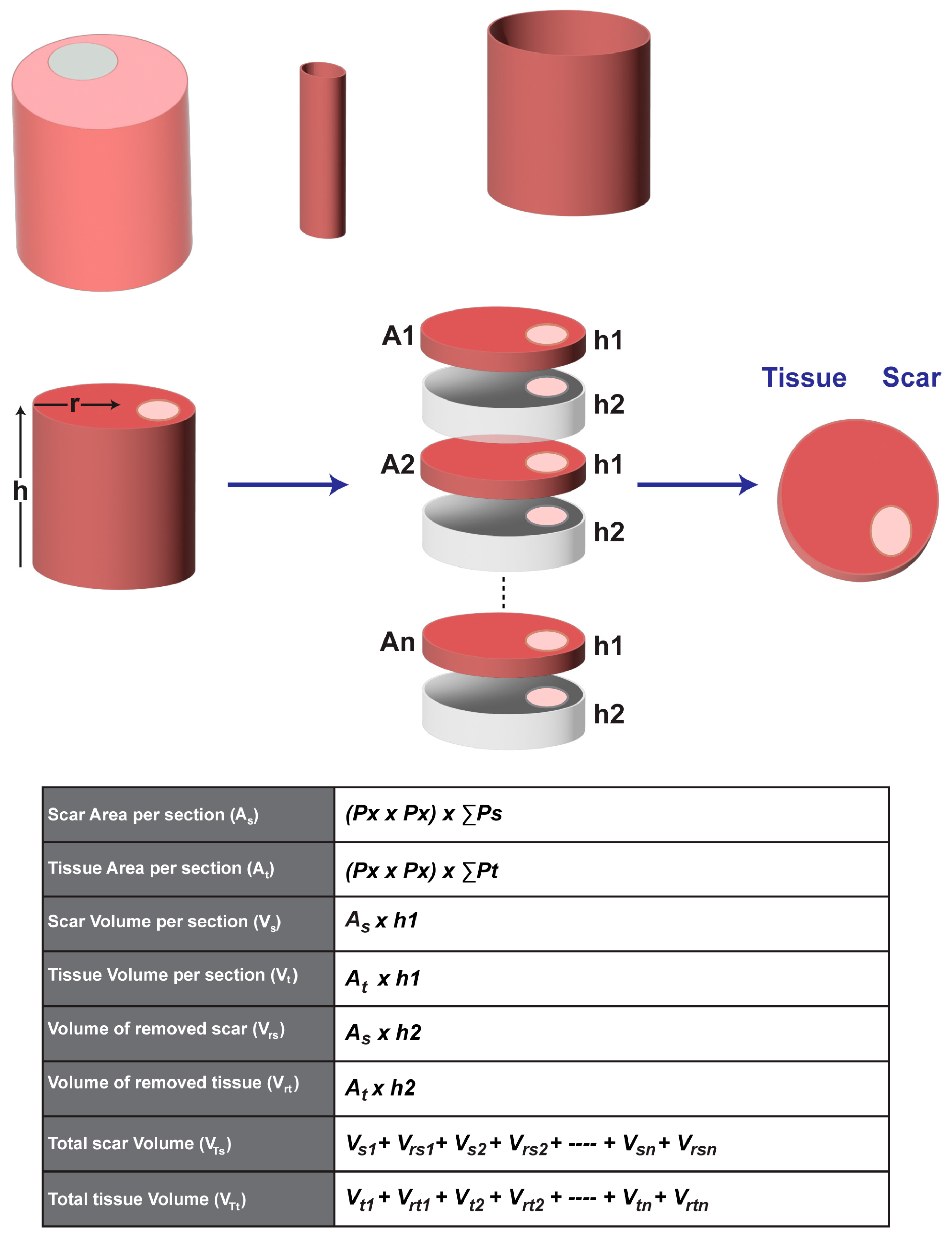 Diagnostics 14 02325 g005 Diagnostics 14 02325 g005
