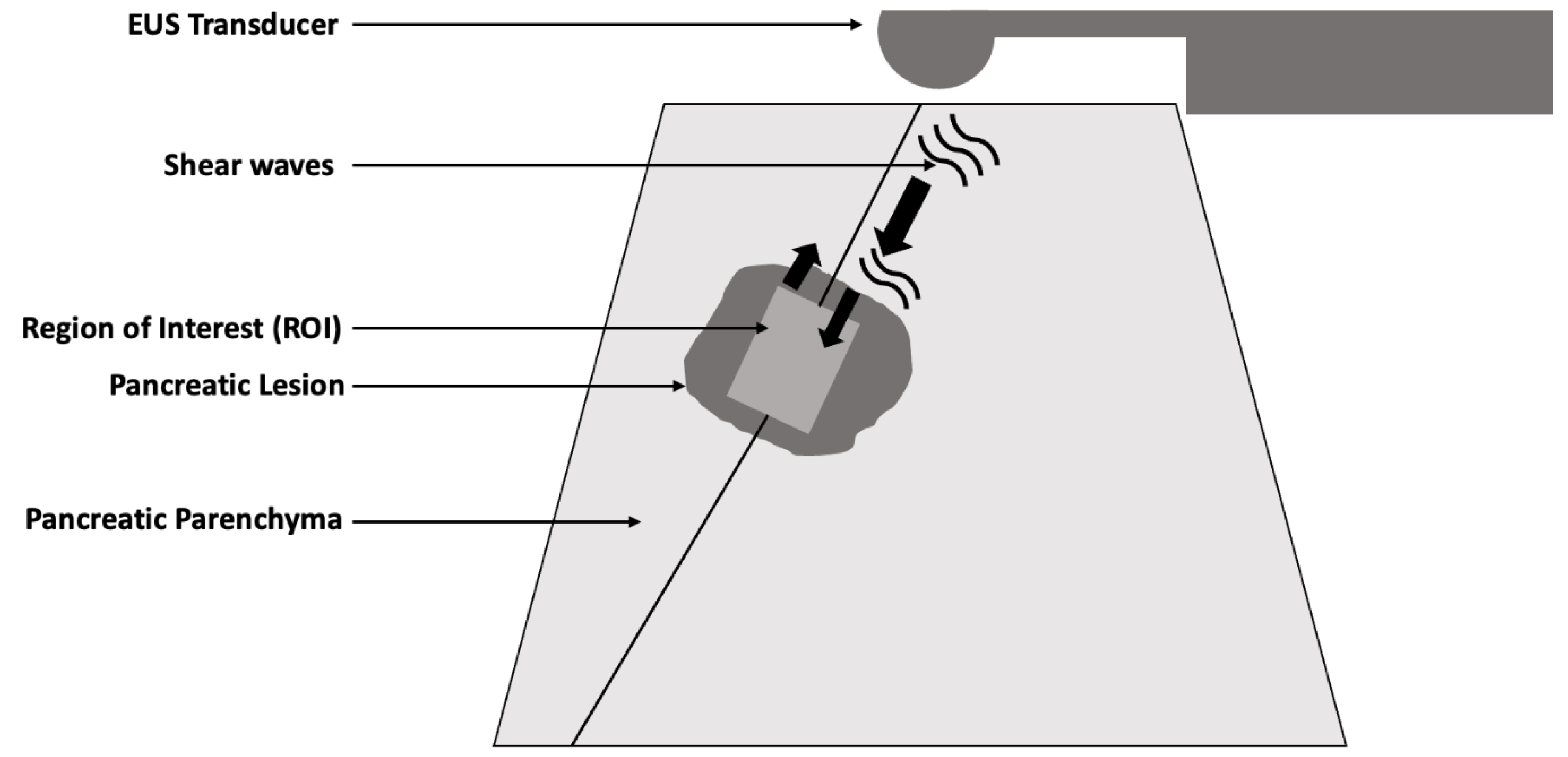 Diagnostics 14 02329 g001 Diagnostics 14 02329 g001
