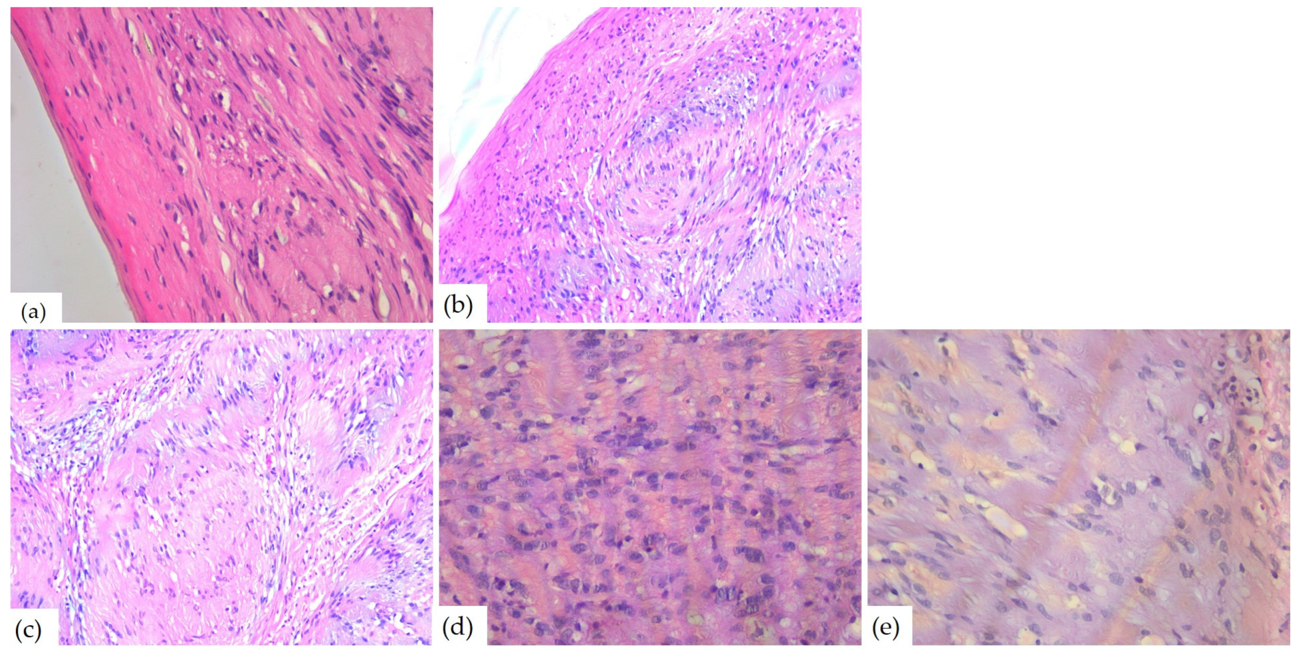 Diagnostics 14 02334 g008