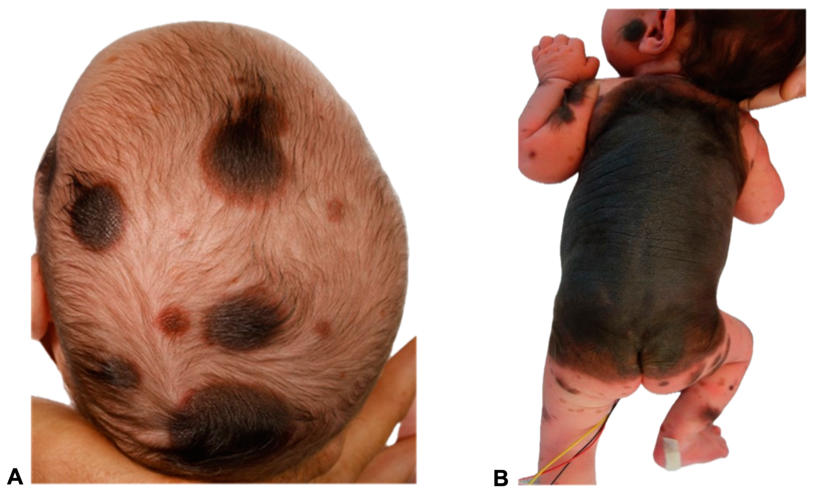 Diagnostics 14 02345 g001