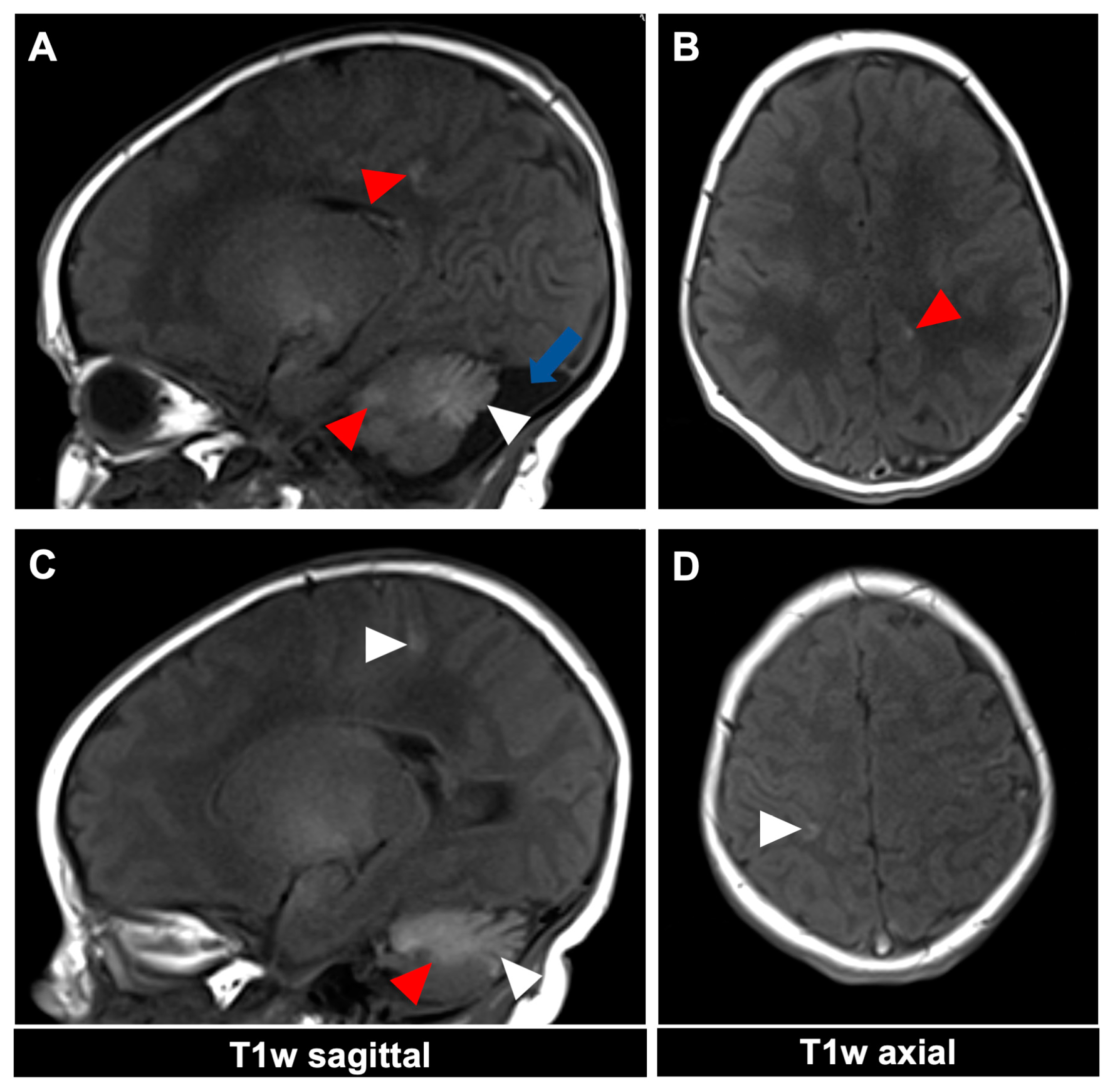 Diagnostics 14 02345 g003