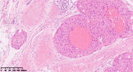 Diagnostics 14 02347 g006