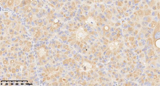 Diagnostics 14 02347 g007