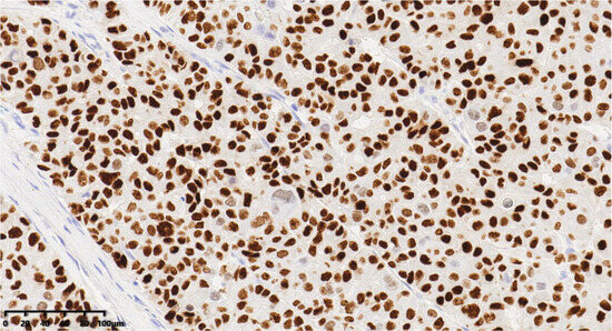 Diagnostics 14 02347 g009