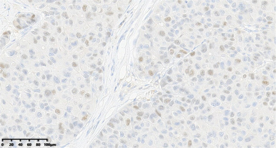 Diagnostics 14 02347 g010