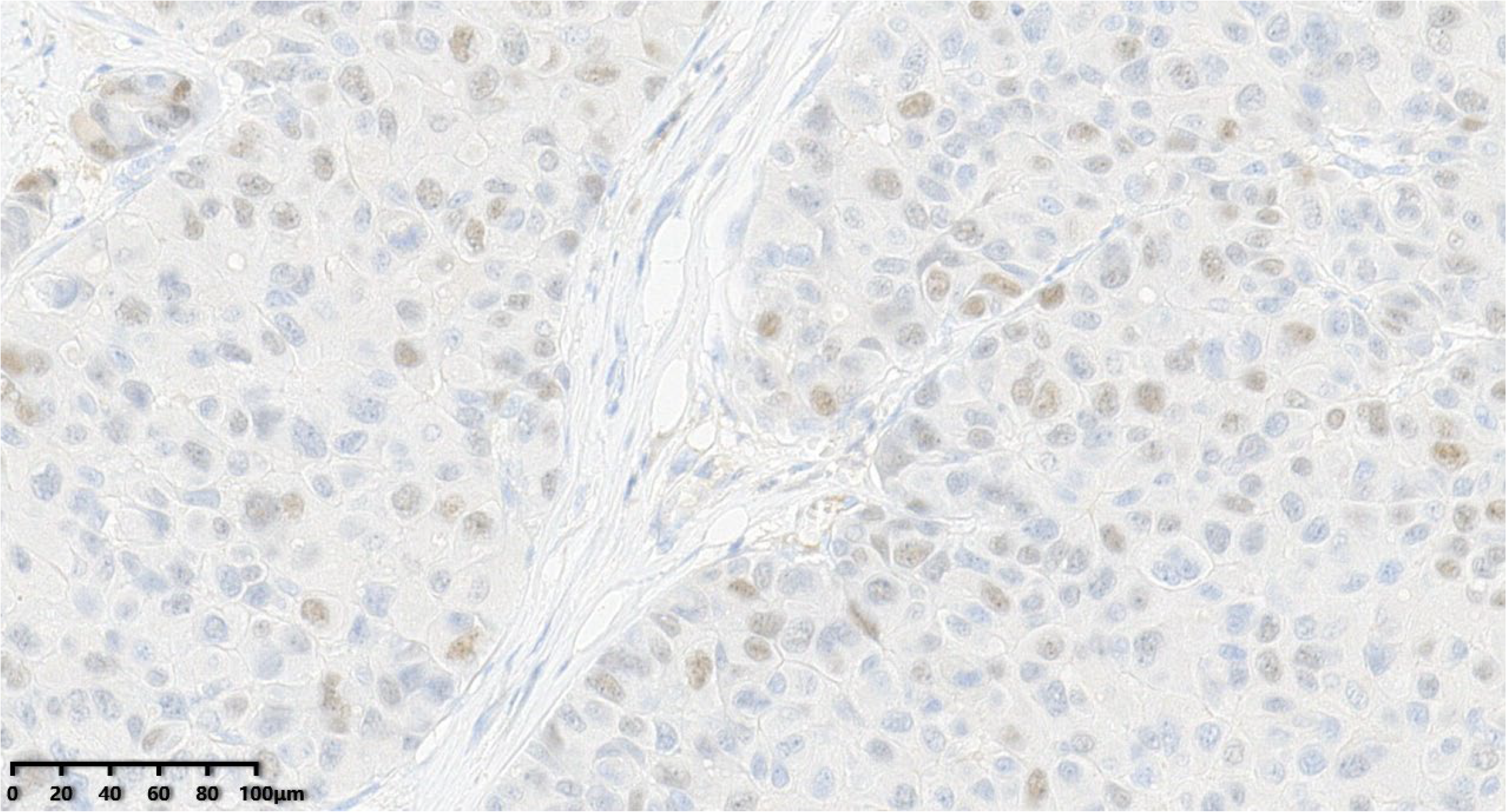 Diagnostics 14 02347 g010