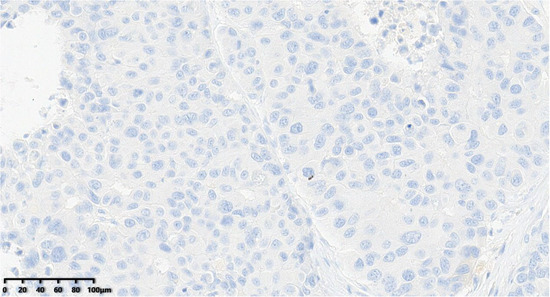 Diagnostics 14 02347 g012