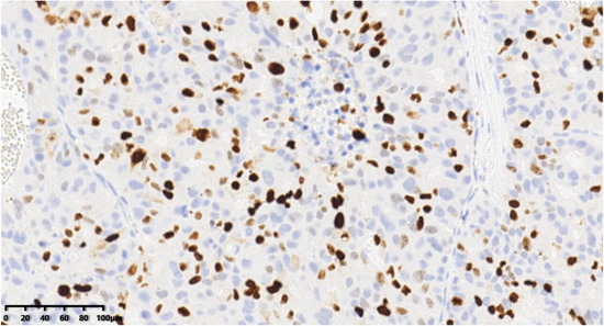 Diagnostics 14 02347 g013